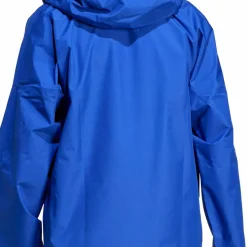 Adidas Men's Terrex Xperior 2L Gore-Tex Performance Jacket Semi Lucid Blue