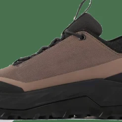 Alfa Men's Rabbe A/P/S GORE-TEX Brown
