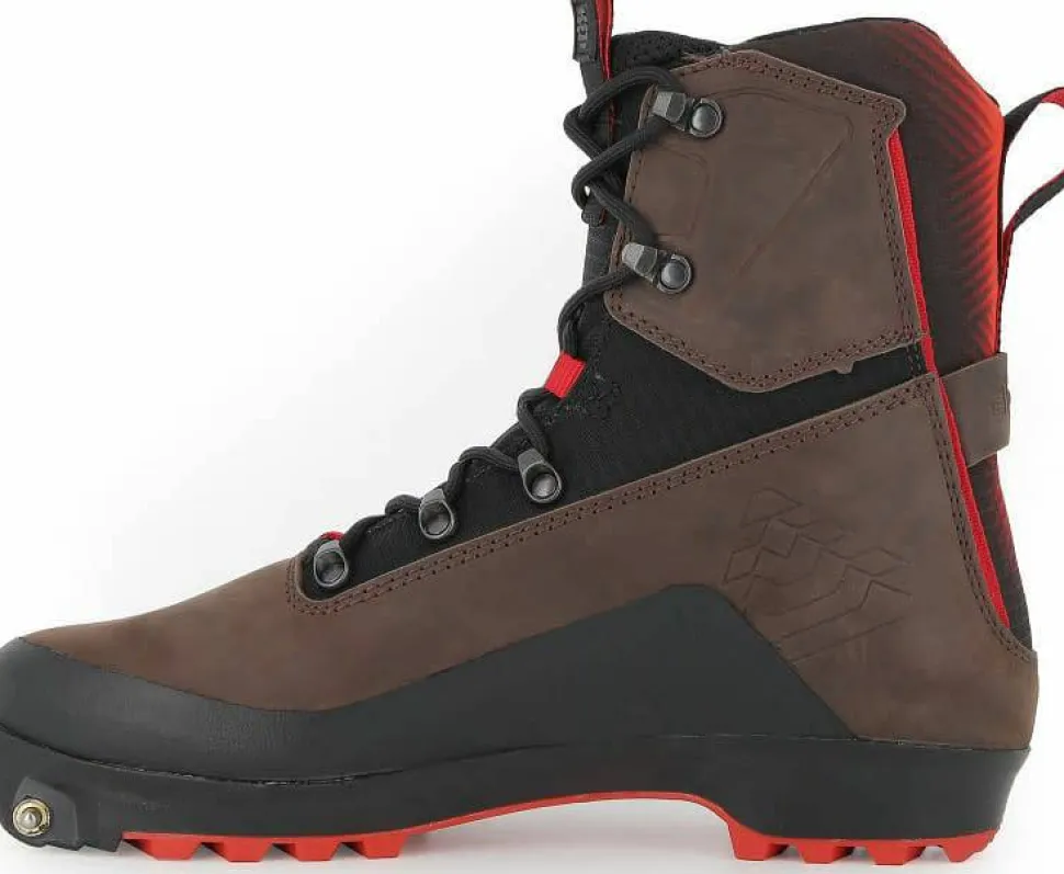 Alpina Unisex Pioneer Pro Xp Dark Brown Black