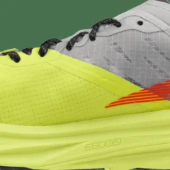 Altra Men's Mont Blanc Carbon Gray/Lime