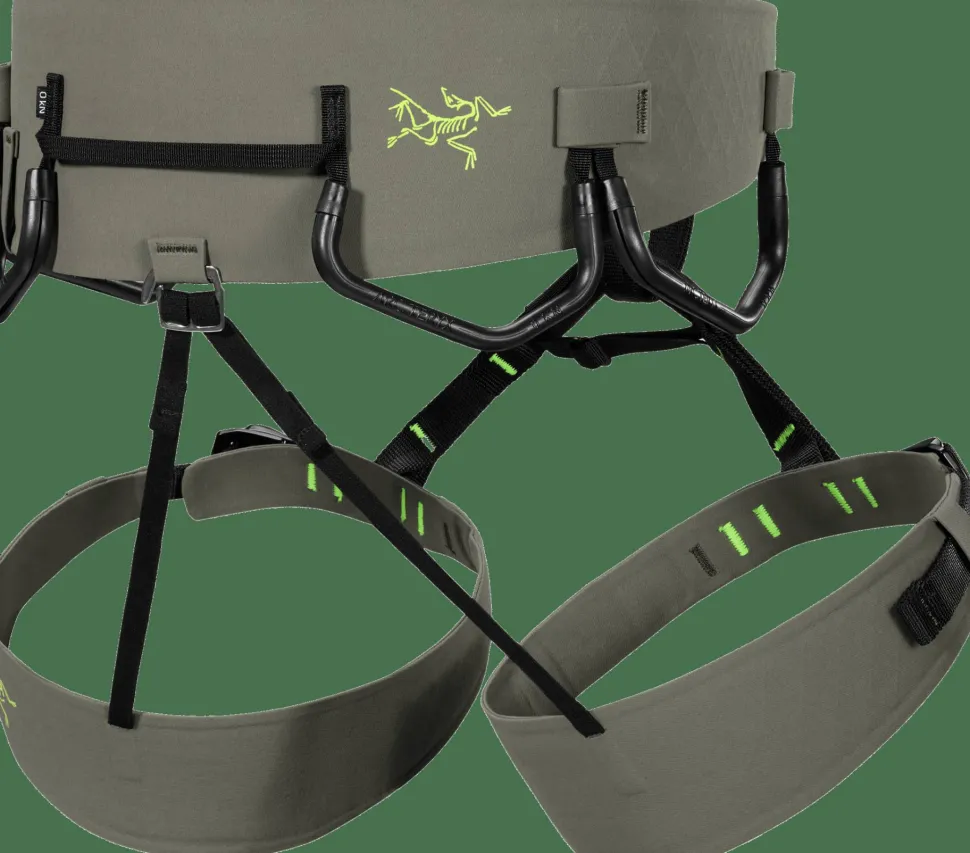 Arc'teryx Men's AR-395A Harness Forage/Mantis