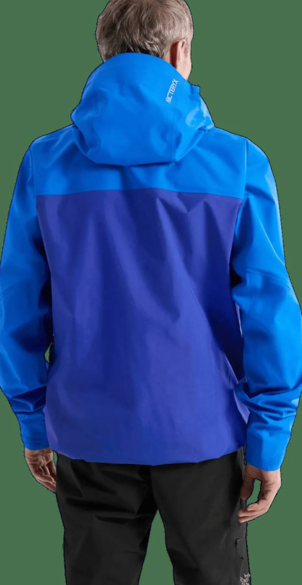 Arc'teryx Men's Beta Ar Jacket Fluidity / Vitality