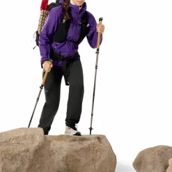 Arc'teryx Women's Beta SL Jacket Azalea