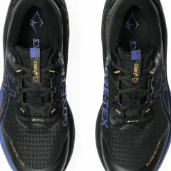Asics Men's Fujisetsu Max GORE-TEX Black/Dark Cobalt