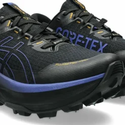 Asics Men's Fujisetsu Max GORE-TEX Black/Dark Cobalt
