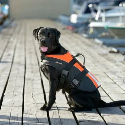 Baltic Pet Aid Mascot Uv-yellow, Black