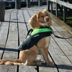 Baltic Pet Aid Mascot Uv-yellow, Black