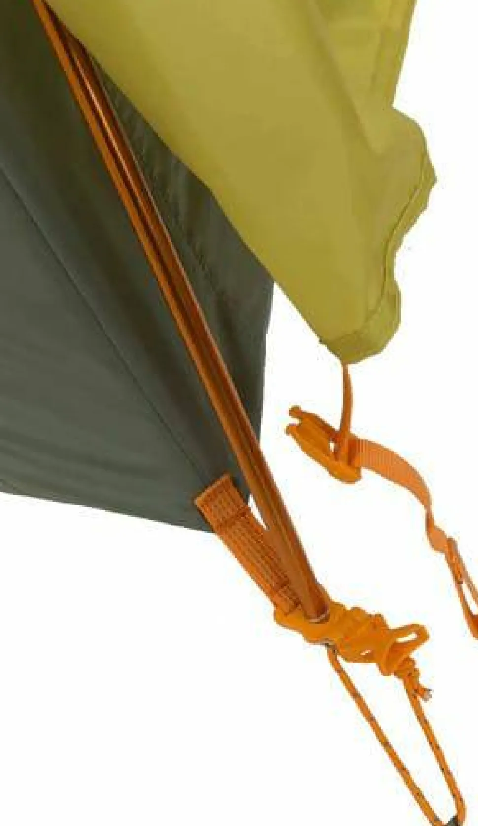 Big Agnes Blacktail 2 Warm Olive/chinois Green