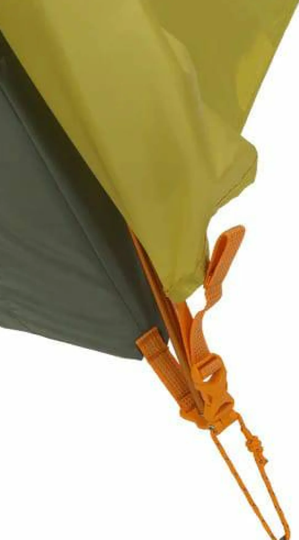 Big Agnes Blacktail 2 Warm Olive/chinois Green