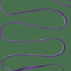 Black Diamond 18 mm Nylon Runner 240 cm Purple