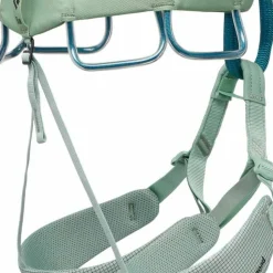 Black Diamond Women's Momentum Harness Desert Sage