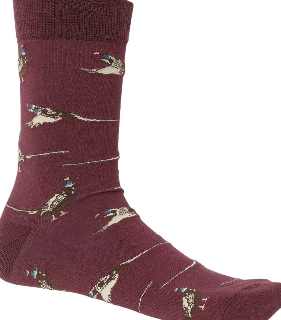 Chevalier Pomeroy Sock Fox Red Pheasant