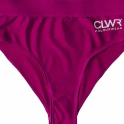 ColourWear Women's High Waist Bikini Bottom Purple