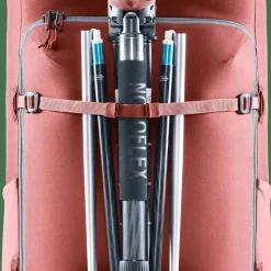 Deuter Jaypack 34+ Redwood