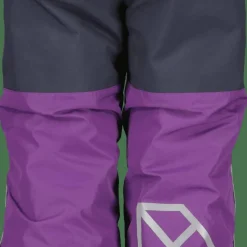 Didriksons Kids' Narvi Pant 2 Royal Purple