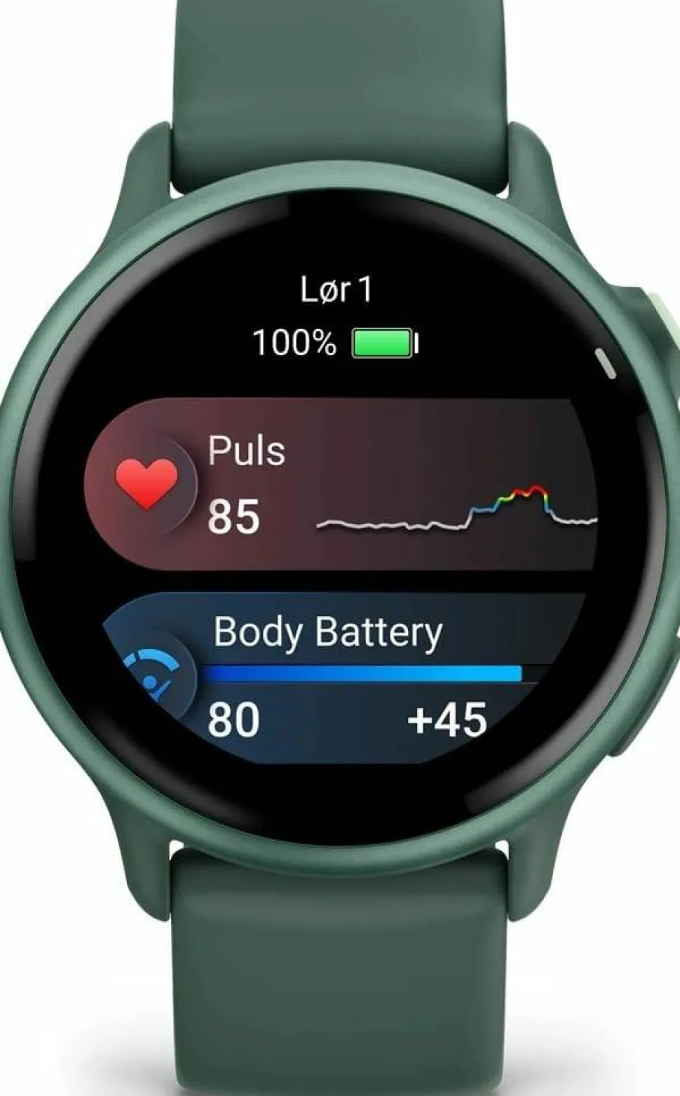 Garmin Vivoactive 6 Jasper Green/J. Green Metallic