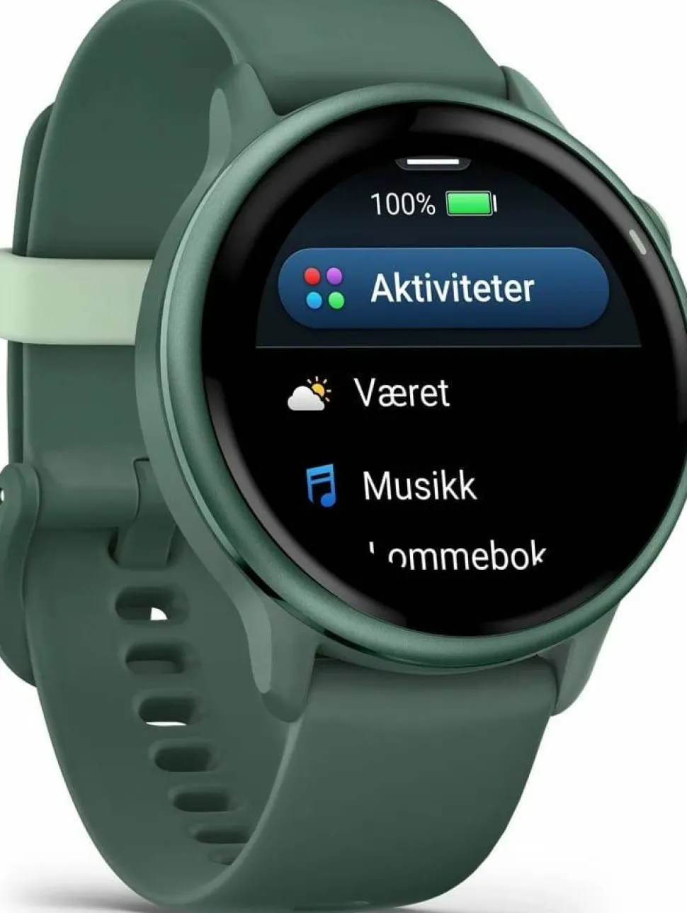 Garmin Vivoactive 6 Jasper Green/J. Green Metallic