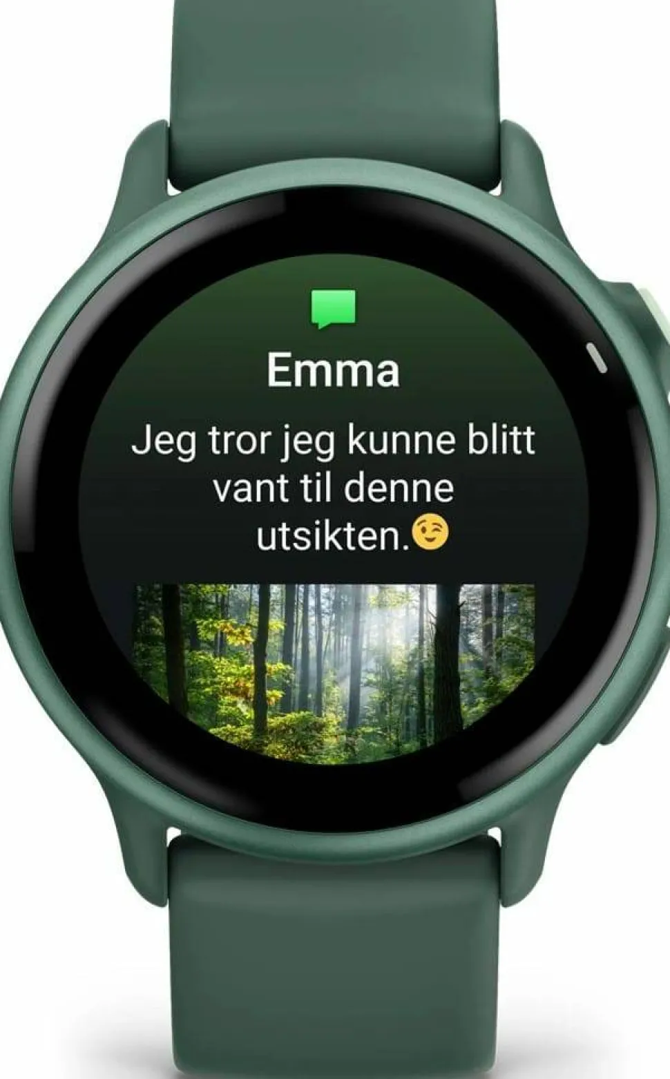 Garmin Vivoactive 6 Jasper Green/J. Green Metallic