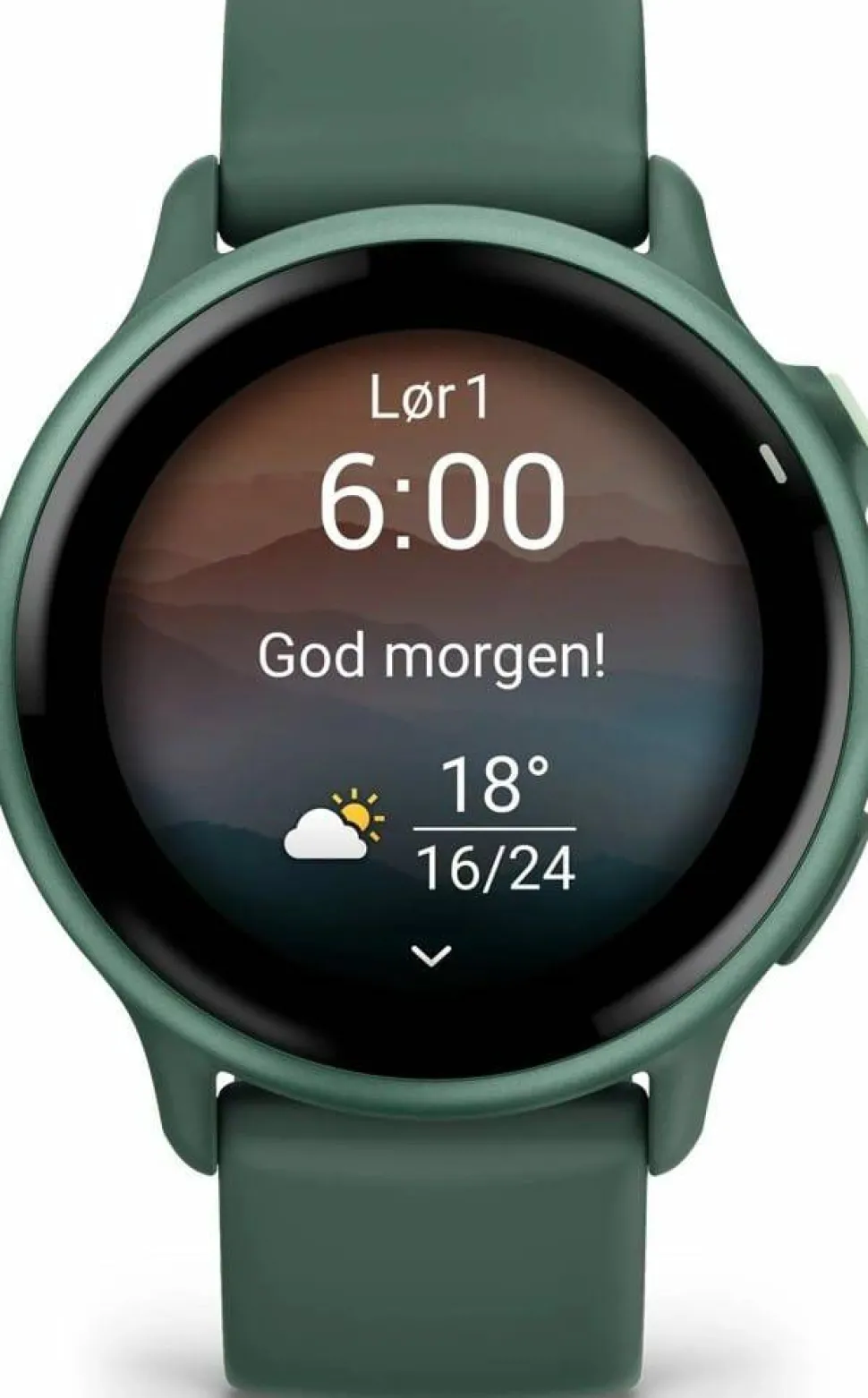 Garmin Vivoactive 6 Jasper Green/J. Green Metallic