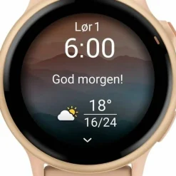 Garmin Vivoactive 6 Pink Dawn/P. Dawn Metallic
