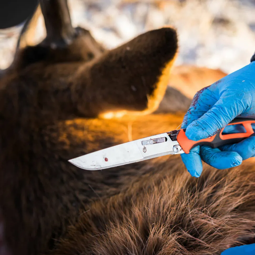 Gerber Randy Newberg Fixed EBS