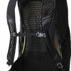 Gregory Arrio 22 RC Shadow Pine Black