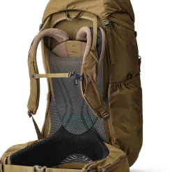 Gregory Men's Baltoro 100 Pro RC M Crocodile Green