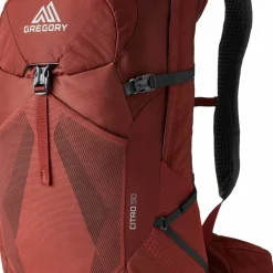 Gregory Men's Citro 30 Brick Red
