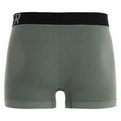 Hellner Men's Svierkku Seamless Boxer Laurel Wreath
