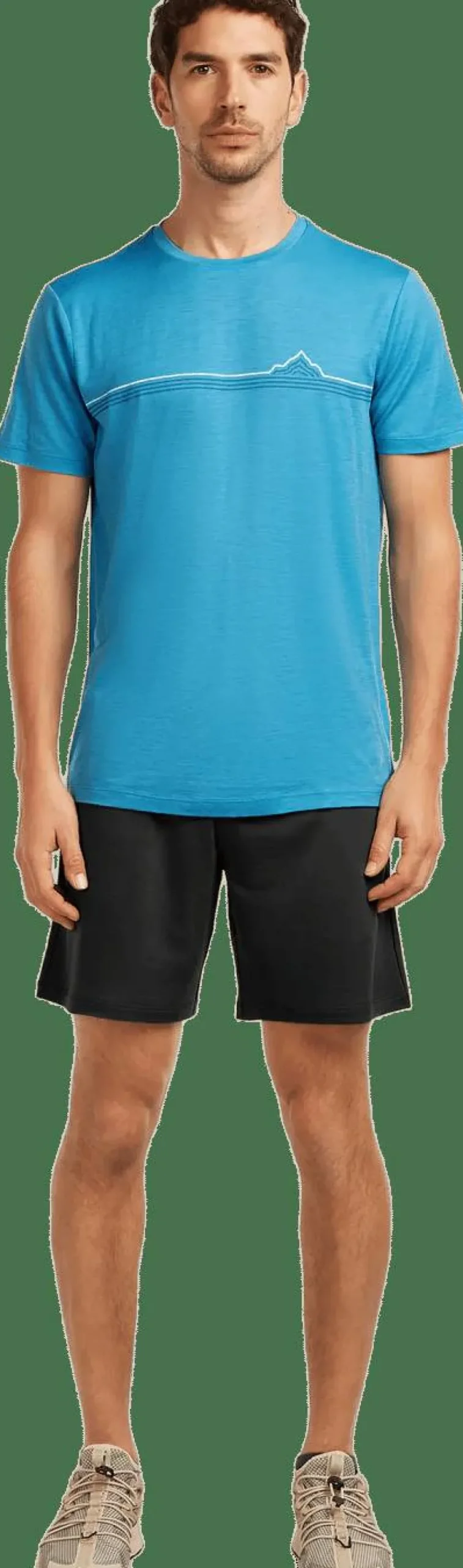 Icebreaker Men's Merino 150 Tech Lite Ss Tee Range Stripes Arctic