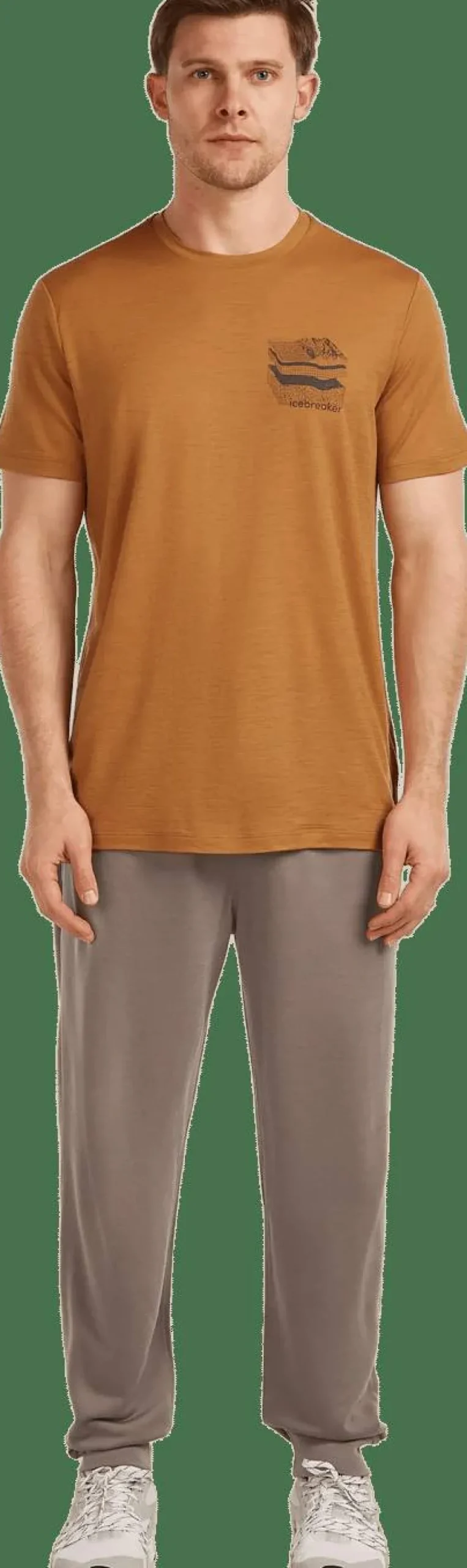 Icebreaker Men's Merino 150 Tech Lite Ss Tee Evolving Layers Trail