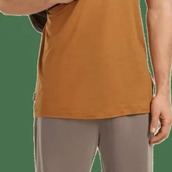 Icebreaker Men's Merino 150 Tech Lite Ss Tee Evolving Layers Trail