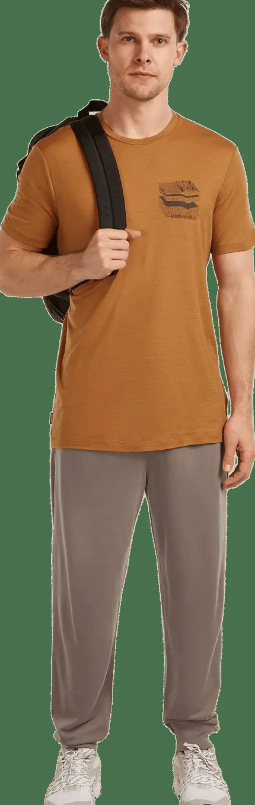 Icebreaker Men's Merino 150 Tech Lite Ss Tee Evolving Layers Trail