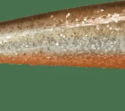 iFish The Demon Shad 10 cm Fluo Perch