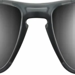 Julbo Shield Spectron 4 Translucent Black/Black