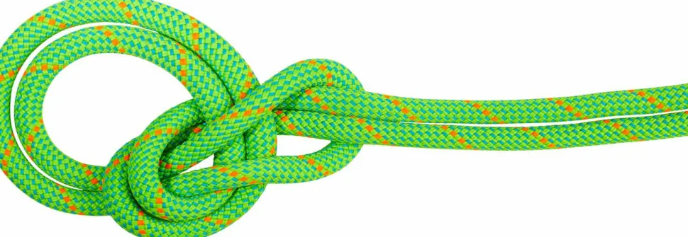 Mammut 9.5 Crag Dry Rope 70m Neon Green-ocean