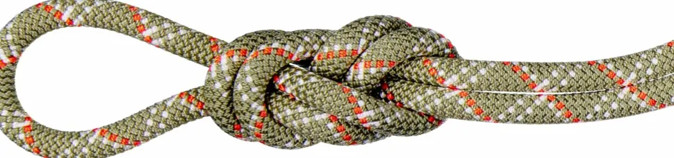 Mammut 9.5 Gym Classic Rope 40M Boa-white