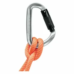 Mammut Classic Hms Twistlock Plus Carabiner Twist Lock Plus/Light Grey