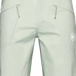 Mammut Men's Aenergy Light SO Shorts Silver Sage