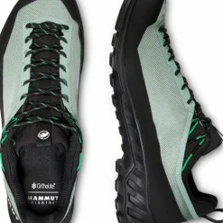Mammut Men's Alnasca Iv Low Gtx Deep Silver Sage-pinea