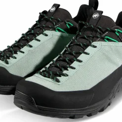 Mammut Men's Alnasca Iv Low Gtx Deep Silver Sage-pinea
