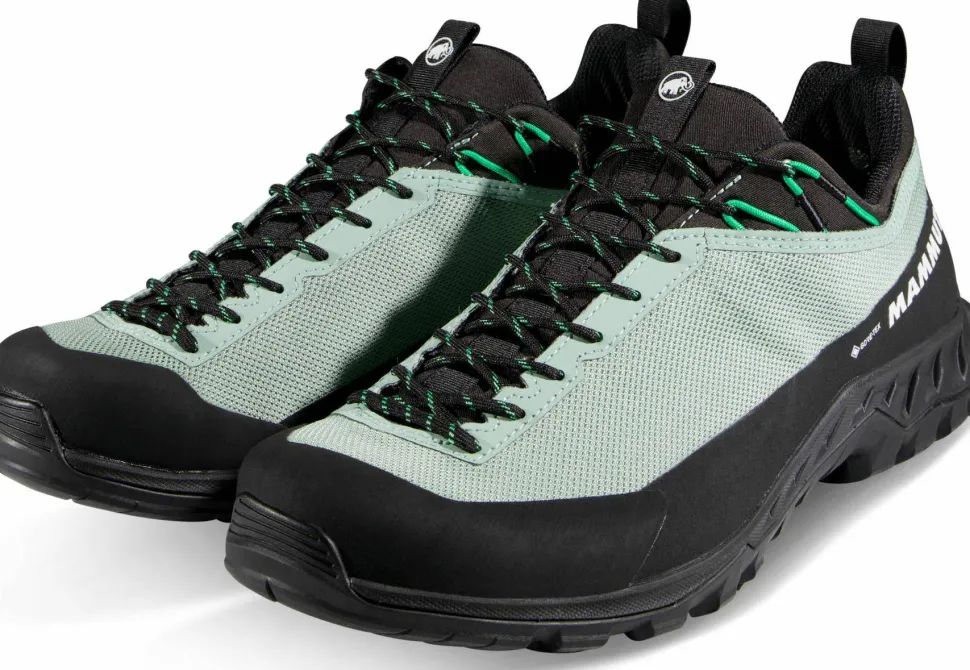 Mammut Men's Alnasca Iv Low Gtx Deep Silver Sage-pinea