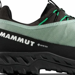 Mammut Men's Alnasca Iv Low Gtx Deep Silver Sage-pinea