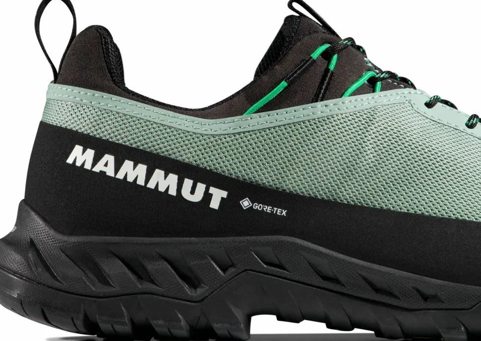 Mammut Men's Alnasca Iv Low Gtx Deep Silver Sage-pinea