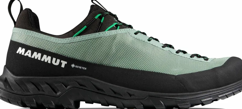 Mammut Men's Alnasca Iv Low Gtx Deep Silver Sage-pinea