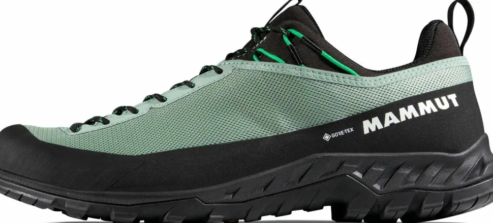 Mammut Men's Alnasca Iv Low Gtx Deep Silver Sage-pinea