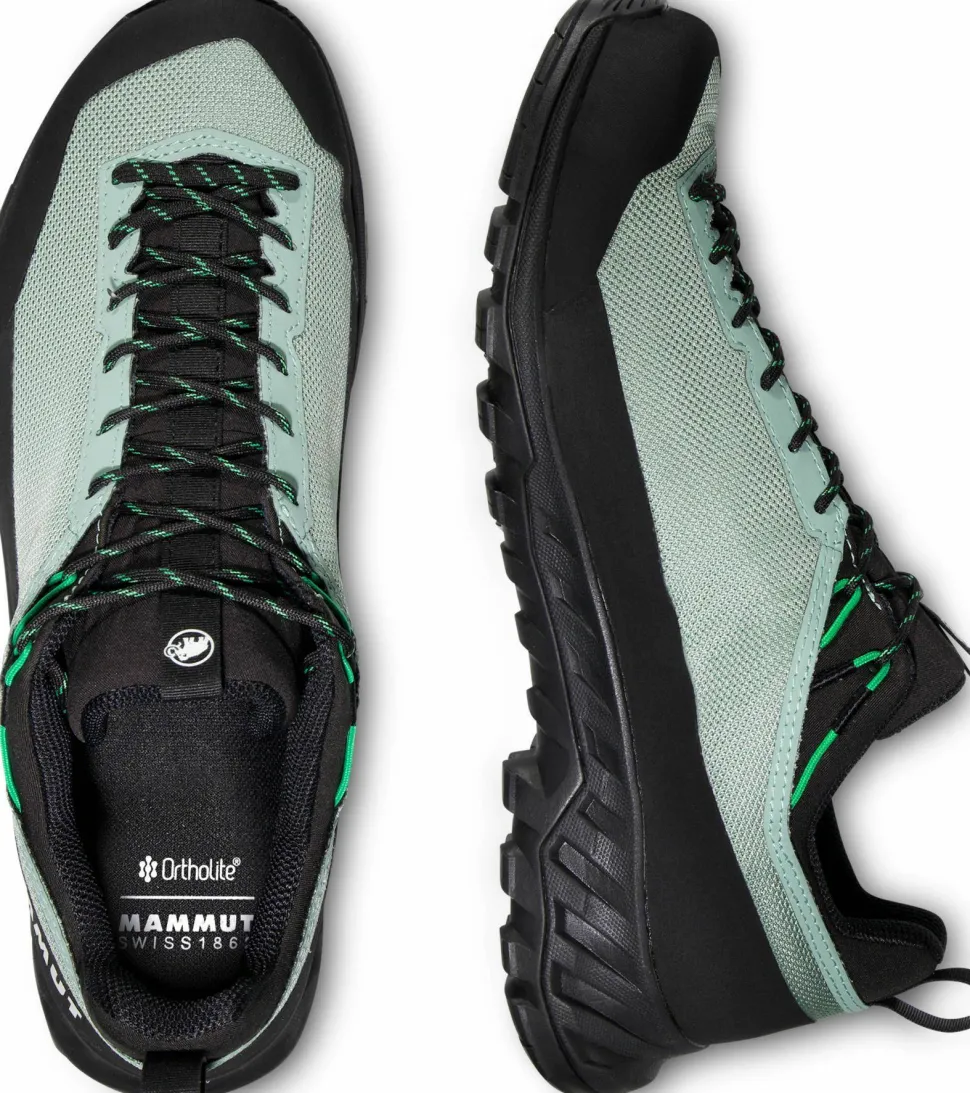 Mammut Men's Alnasca Iv Low Gtx Deep Silver Sage-pinea