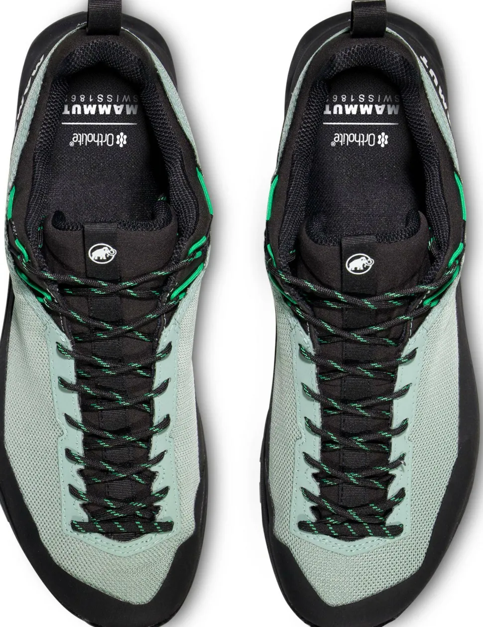 Mammut Men's Alnasca Iv Low Gtx Deep Silver Sage-pinea