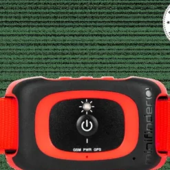 Minifinder Rex Black/Red