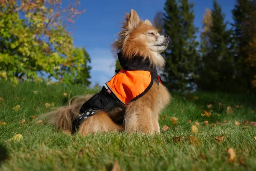 Non-stop Dogwear Beta Pro Raincoat Black/Blue